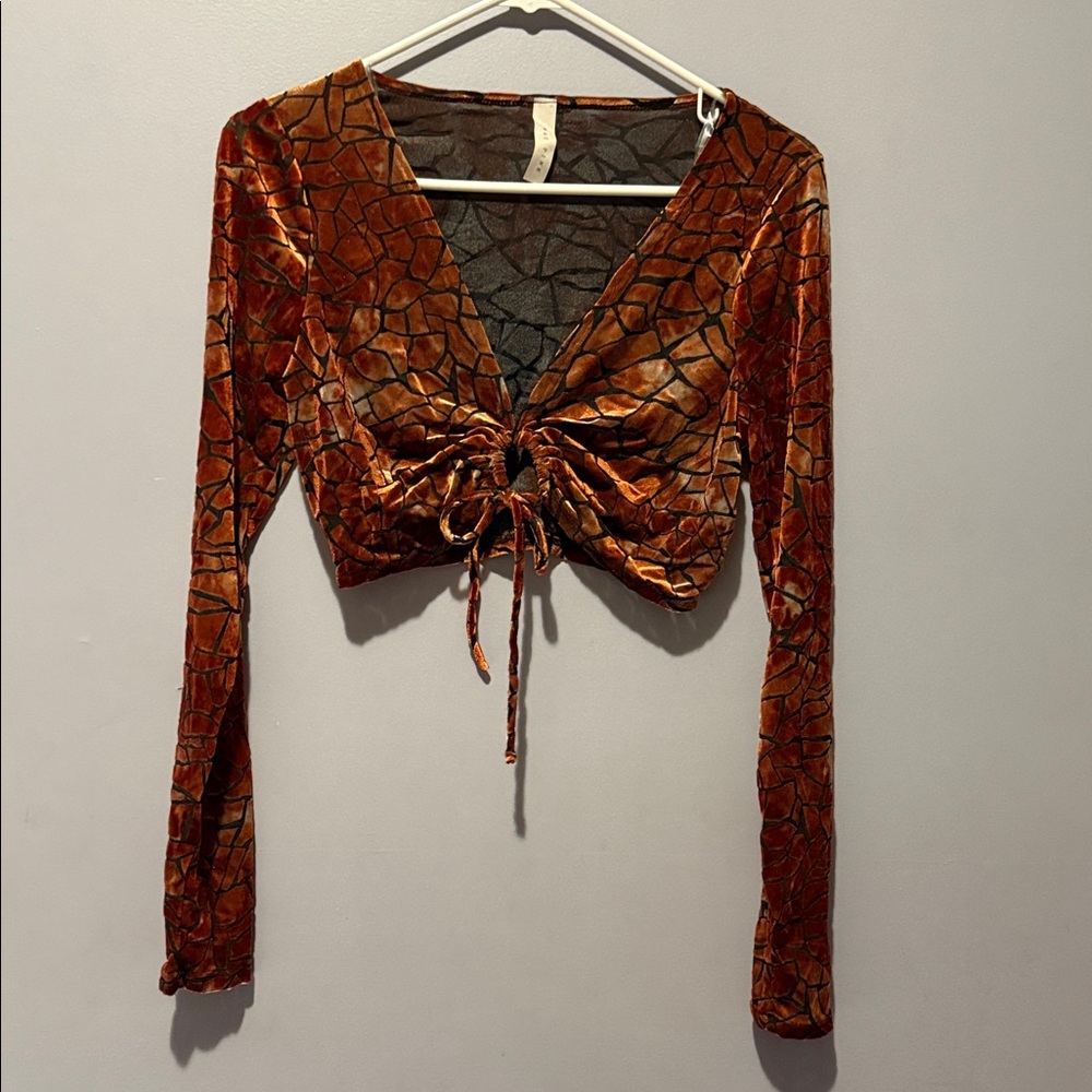 Velvet Drawstring Cropped Long Sleeve Top - Copper Brown